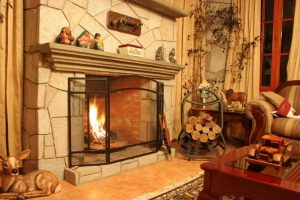 Do You Need a Fireplace Screen or a Fireplace Door? image